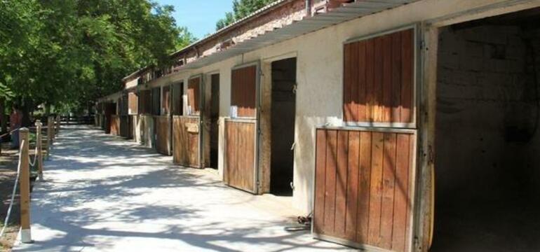 Photo du Centre Équestre