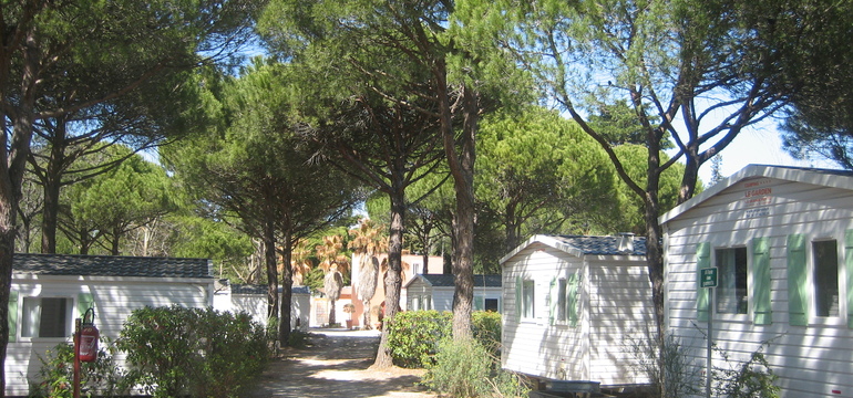 Emplacement Mobil Home ombragé