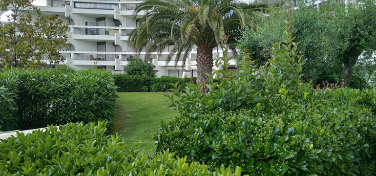 Espaces verts de la Résidence